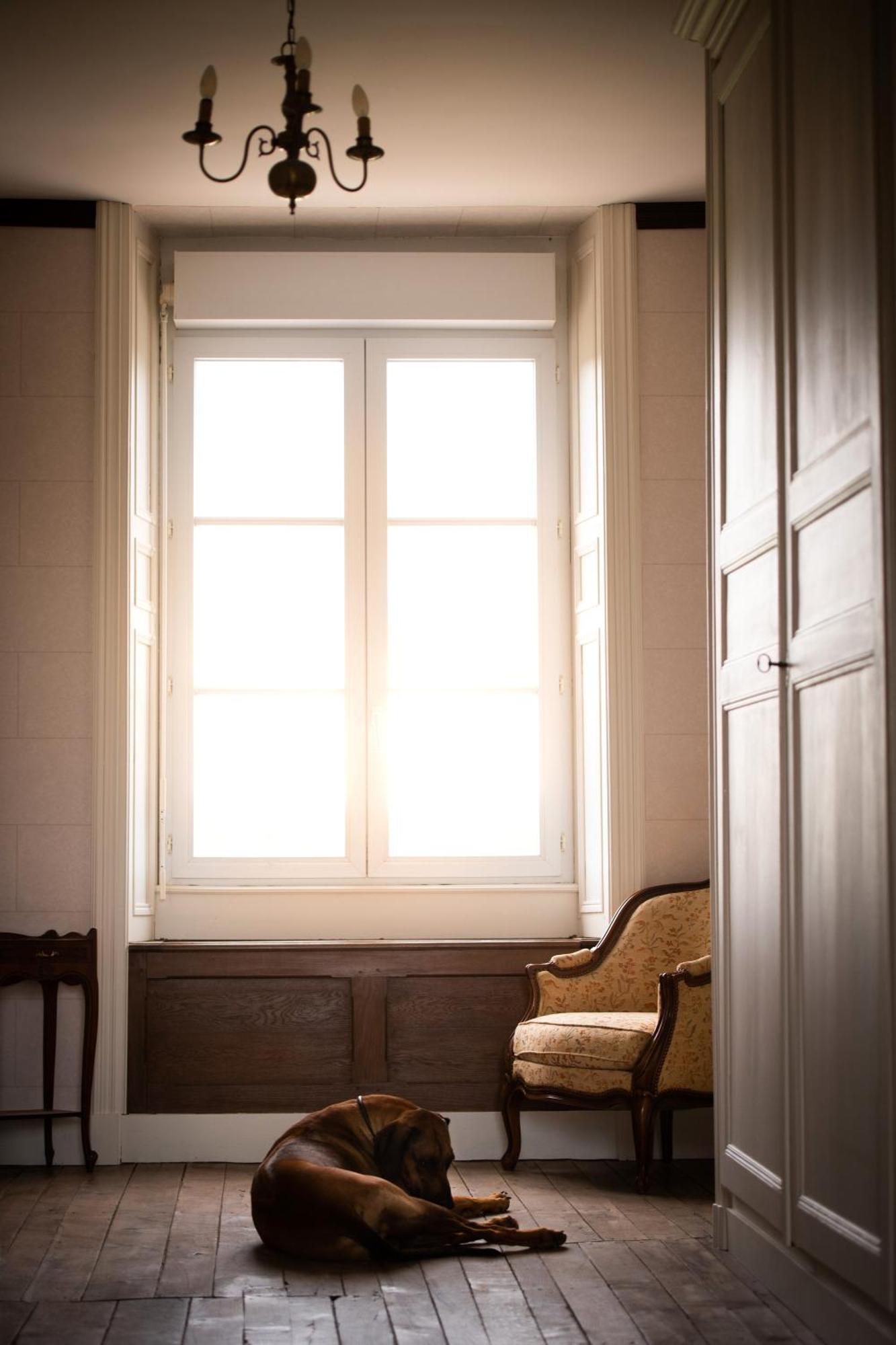 Bed and Breakfast Domaine De La Briouse Sanxay Exterior foto