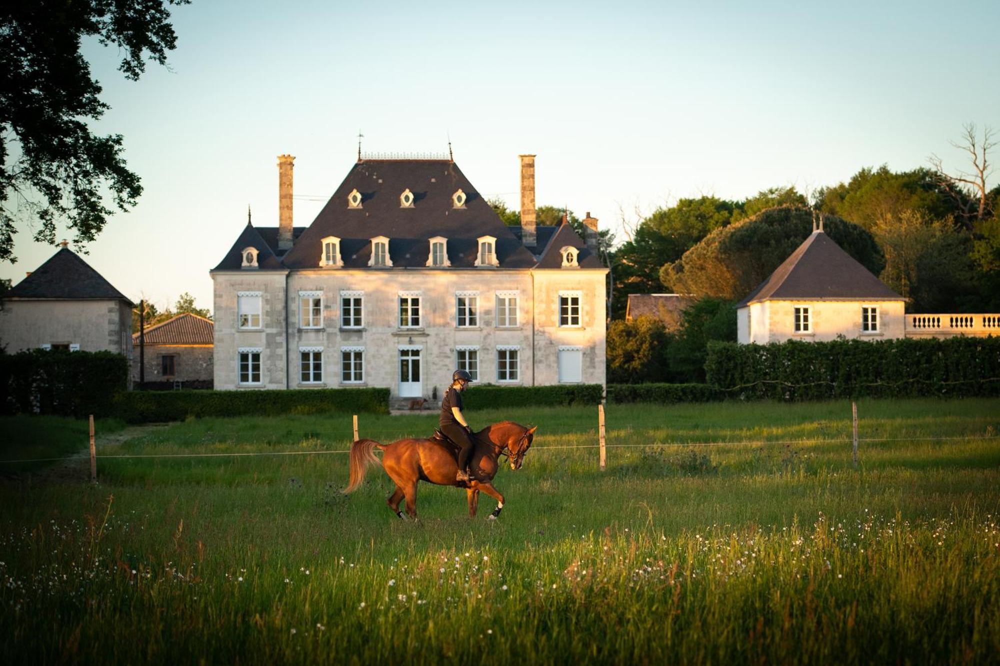 Bed and Breakfast Domaine De La Briouse Sanxay Exterior foto