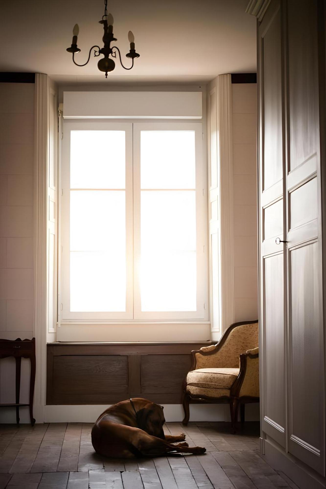 Bed and Breakfast Domaine De La Briouse Sanxay Exterior foto