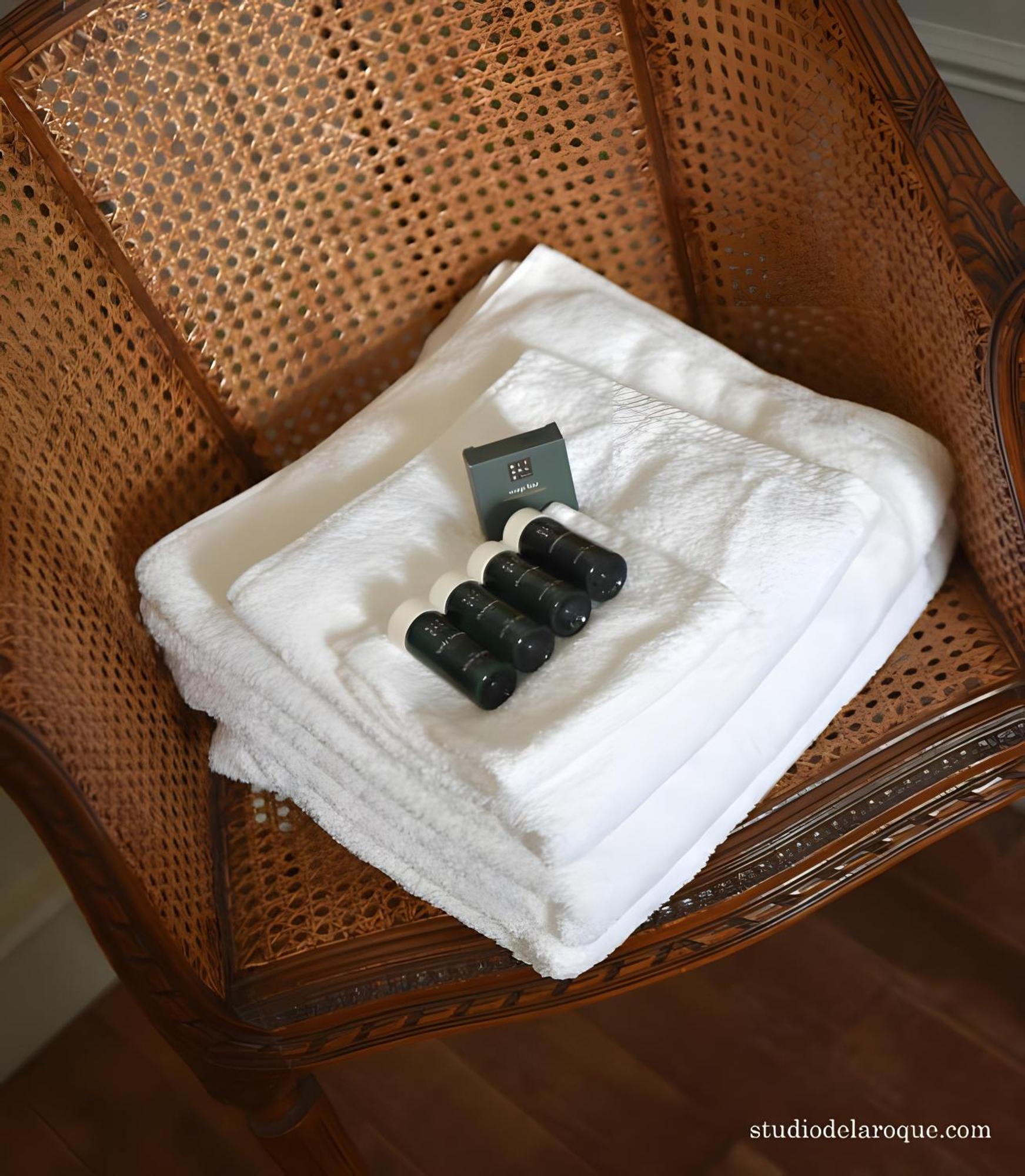 Bed and Breakfast Domaine De La Briouse Sanxay Exterior foto